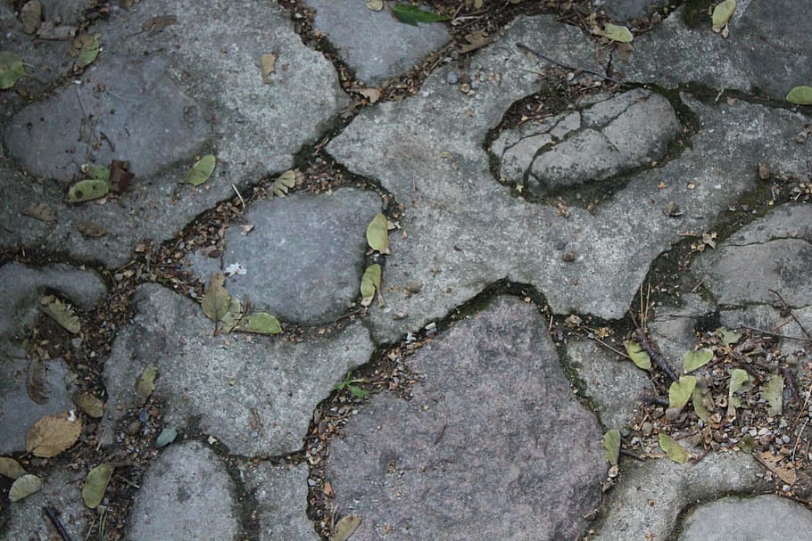 rock, path, leaves, nature, stones, full frame, backgrounds HD wallpaper
