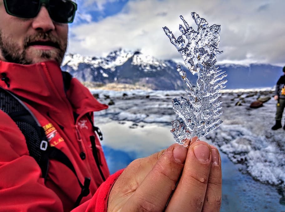 alaska, glacier, ice, leaf, winter, cold temperature, snow HD wallpaper
