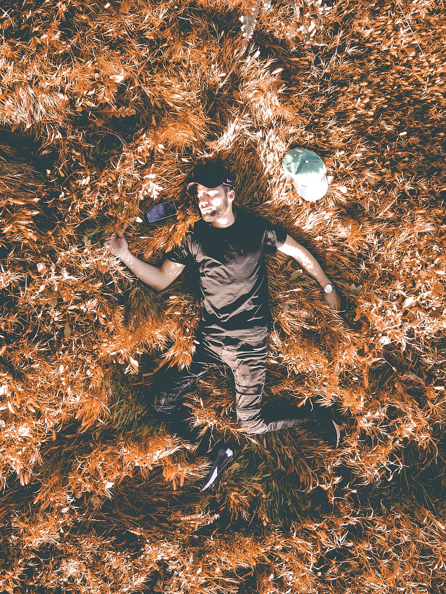 Man in Black Crew-neck Shirt and Black Pants Laying in Brown Dry Leaf HD wallpaper