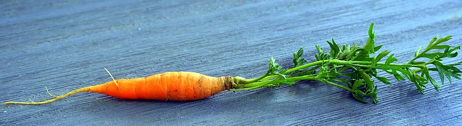 carrot, table, panorama, background, food and drink, vegetable HD wallpaper