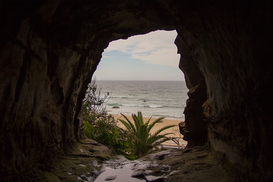 caves, trees, ocean, surfing, sea, water, beach, land, beauty in nature HD wallpaper