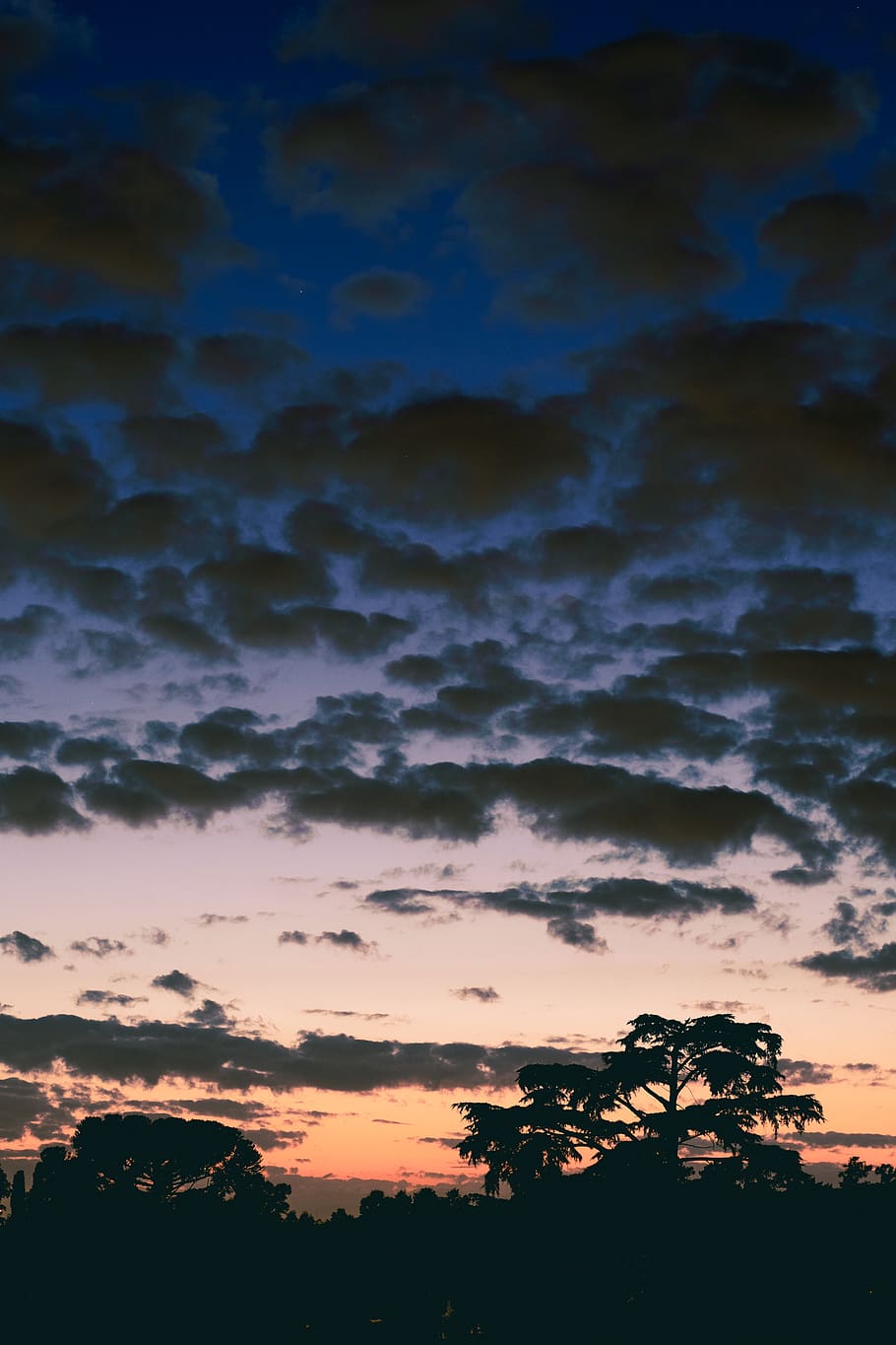 nature, outdoors, sky, sunset, silhouette, dusk, red sky, dawn HD wallpaper