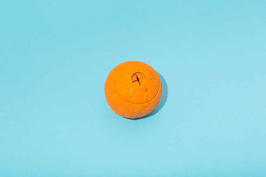 round orange plastic container, ball, pet, chewtoy, animal, minimal HD wallpaper