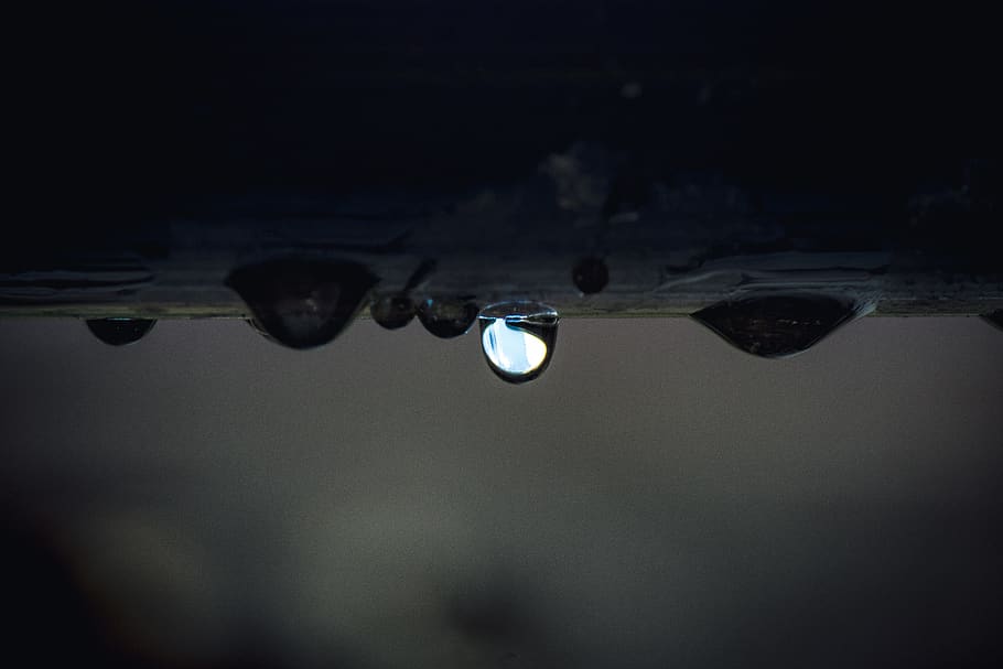 drip, wet, rain, water, drop of water, liquid, clear, macro HD wallpaper