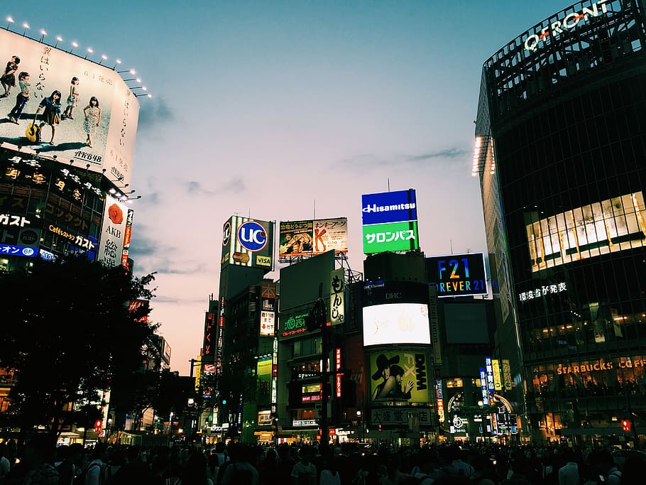 japan, shibuya-ku, city, twilight, tokyo, neon, sunset, architecture, HD wallpaper