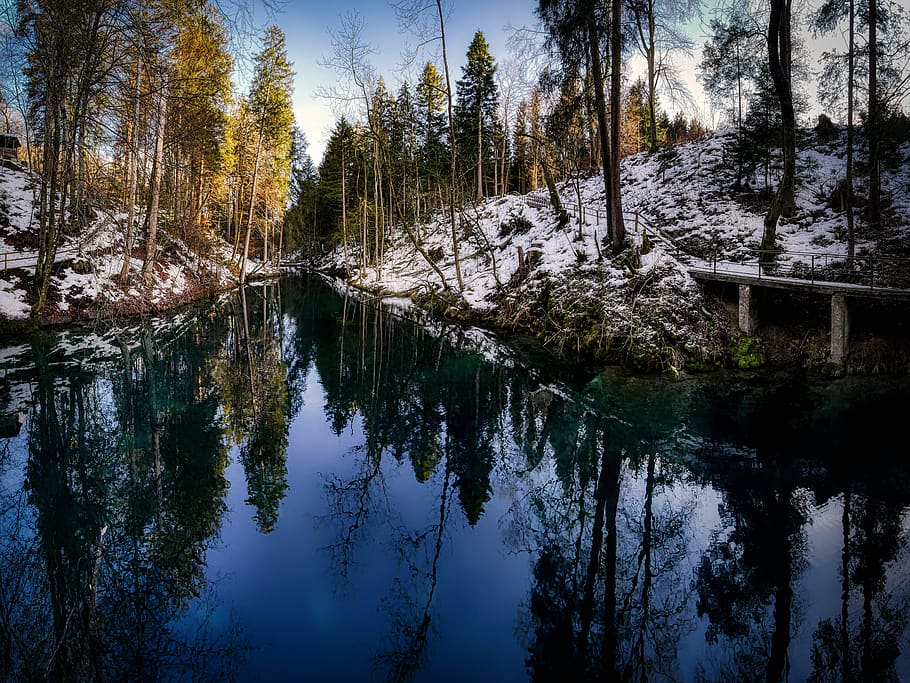 barrage, lake, forest, mirroring, snow, cold, water power, tree HD wallpaper