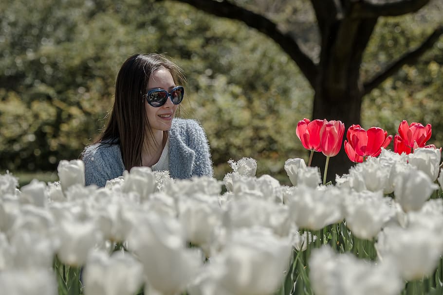 australia, canberra, commonwealth park, white, red, sunshine HD wallpaper