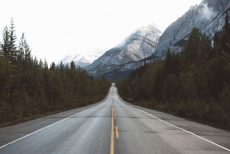 road, path, trees, plant, mountain, sky, cloud, summit, highland HD wallpaper