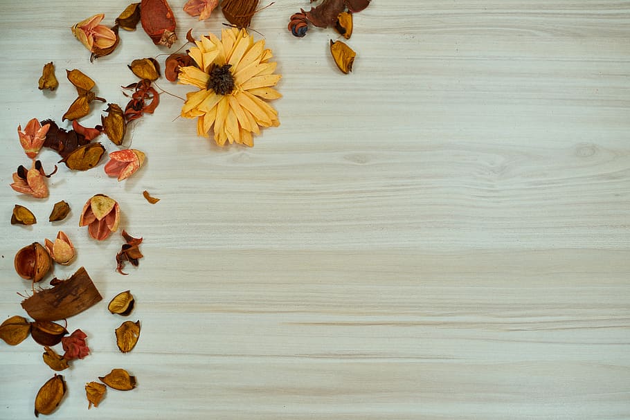 background, fiction, pattern, parquet, wood-fibre boards, table HD wallpaper