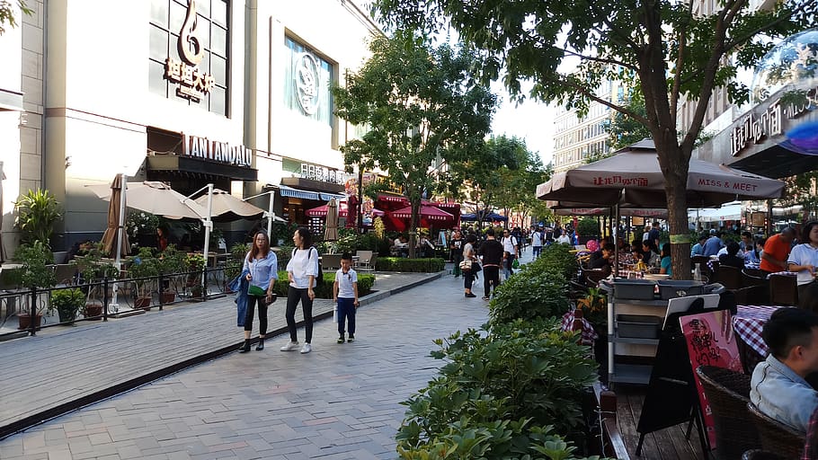 human, person, pedestrian, path, walkway, shunyi beijing, china HD wallpaper