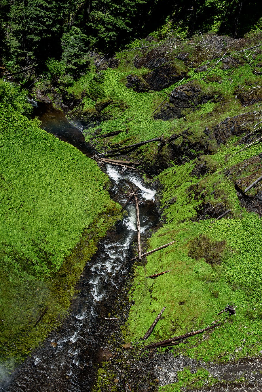 united states, salt creek falls, logs, rocks, trees, overview, HD wallpaper