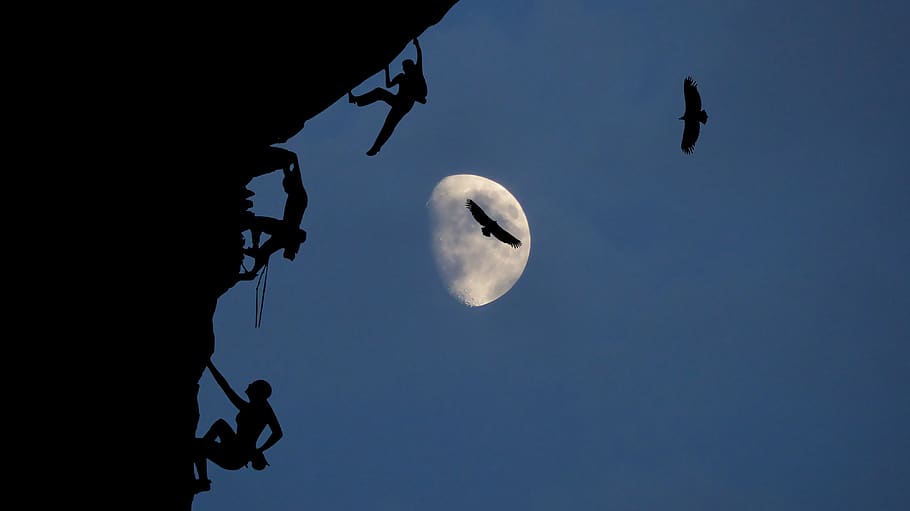 night, moon, climbing, sport, mountain, dark, nature, silhouette HD wallpaper