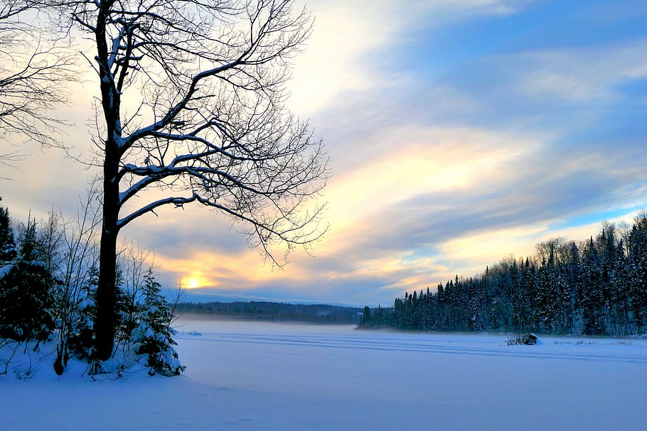 sunset, landscape, nature, winter, gel, cold, snow, trees, calm HD wallpaper