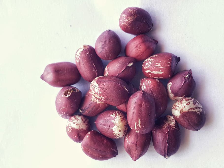 Ground nuts isolated in white backround, peanut, peanuts, groundnuts HD wallpaper