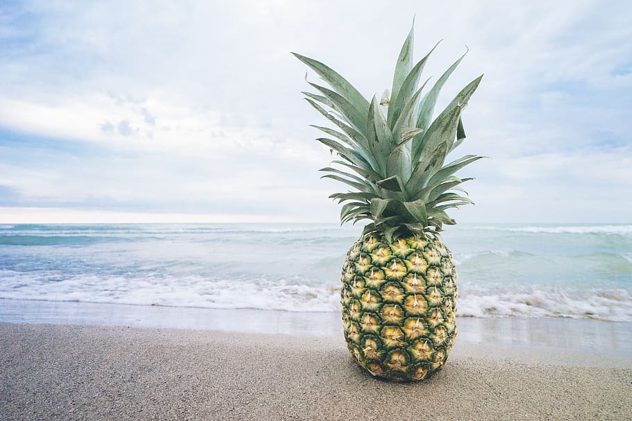 port stanley, beach, sand, pineapple, food, waves, water, lake HD wallpaper