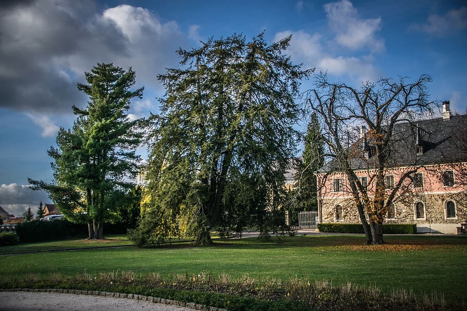trees, park, castle, clouds, idyllic, plant, cloud - sky, grass HD wallpaper