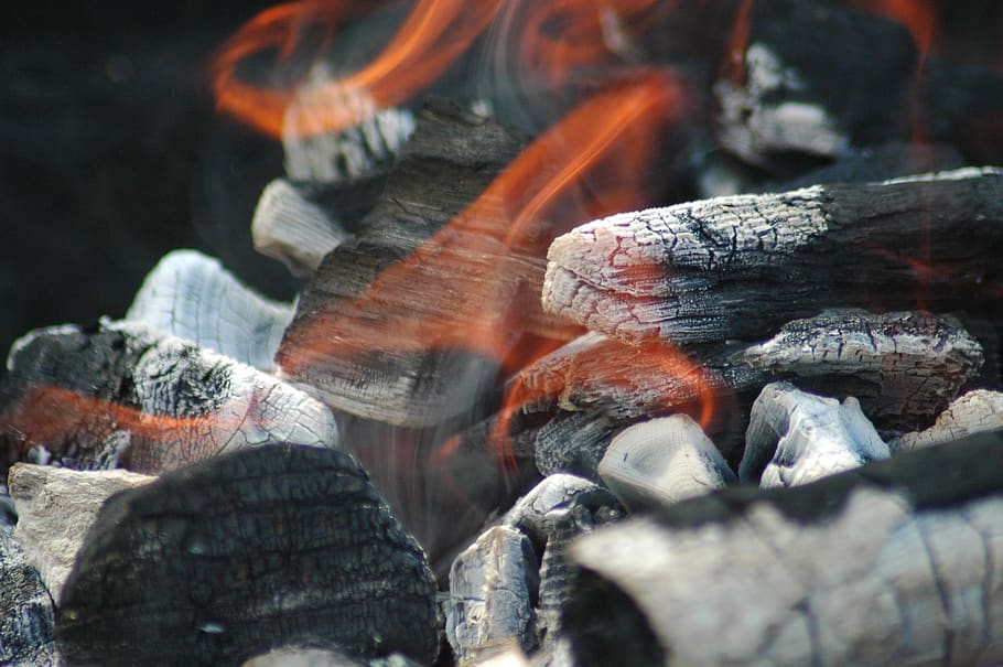 barbecue, flame, burning, log, firewood, close-up, wood - material HD wallpaper
