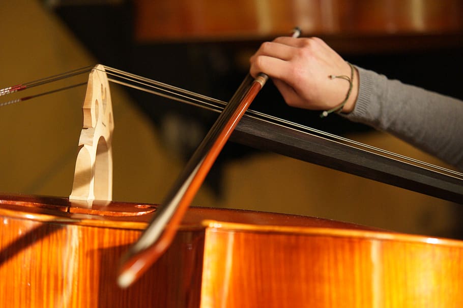 person playing cello, human hand, one person, human body part HD wallpaper