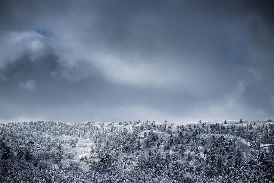 cold, forest, landscape, mountain, nature, sky, snow, trees HD wallpaper