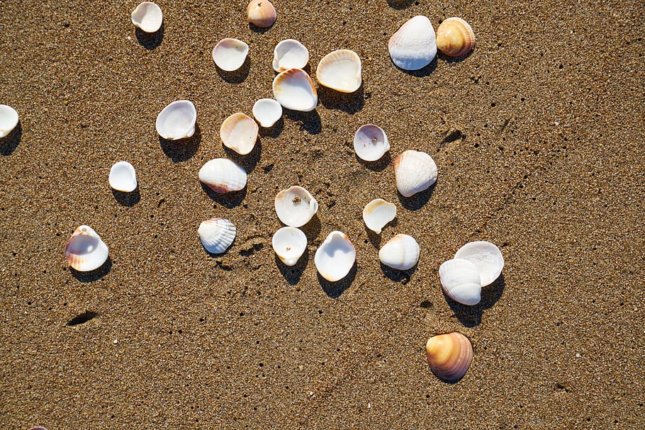beach, sand, background, texture, pattern, summer, hot, peace HD wallpaper