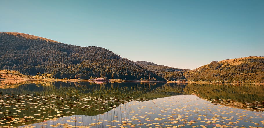 lake, mountain, green, tree, forest, sky, reflection, view HD wallpaper