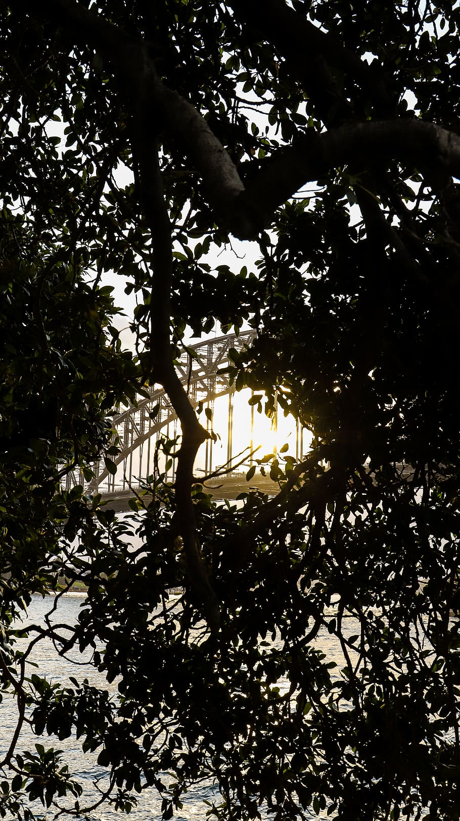 light, flare, sunlight, australia, sydney, sydney harbour bridge HD wallpaper