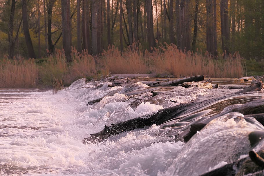 water, river, nature, trees, forest, rocks, flowing, land, beauty in nature HD wallpaper