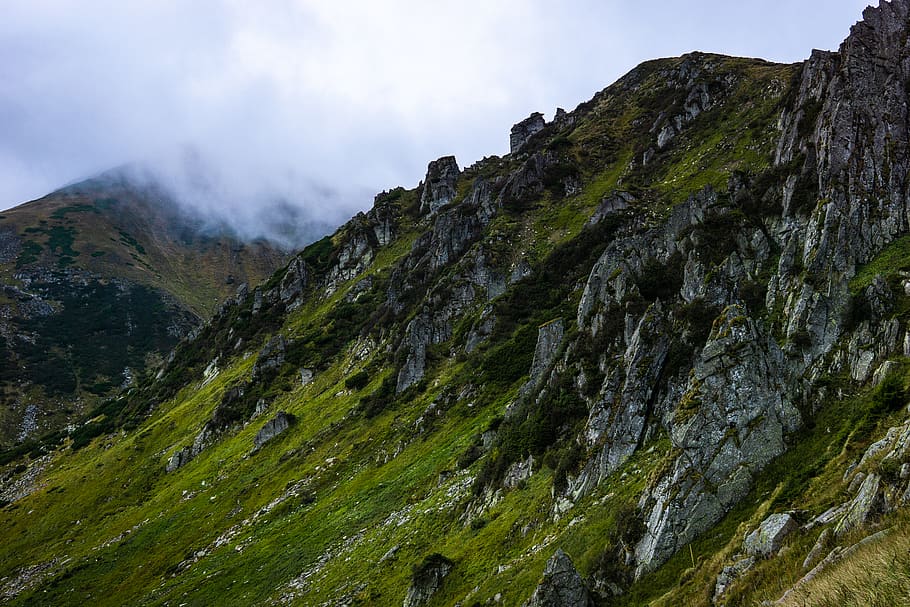 green mountain ridge, nature, crest, outdoors, mountain range, HD wallpaper