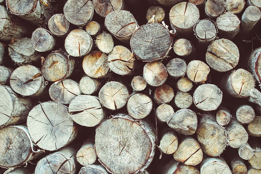 treetrunk, log, timber, full frame, wood, large group of objects HD wallpaper