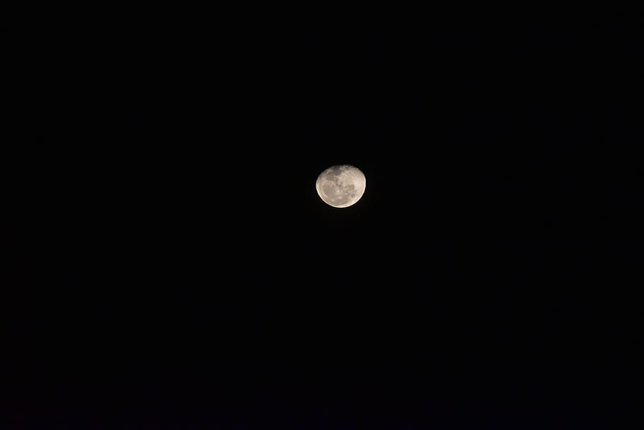 moon, space, astronomy, night, full moon, sky, beauty in nature HD wallpaper