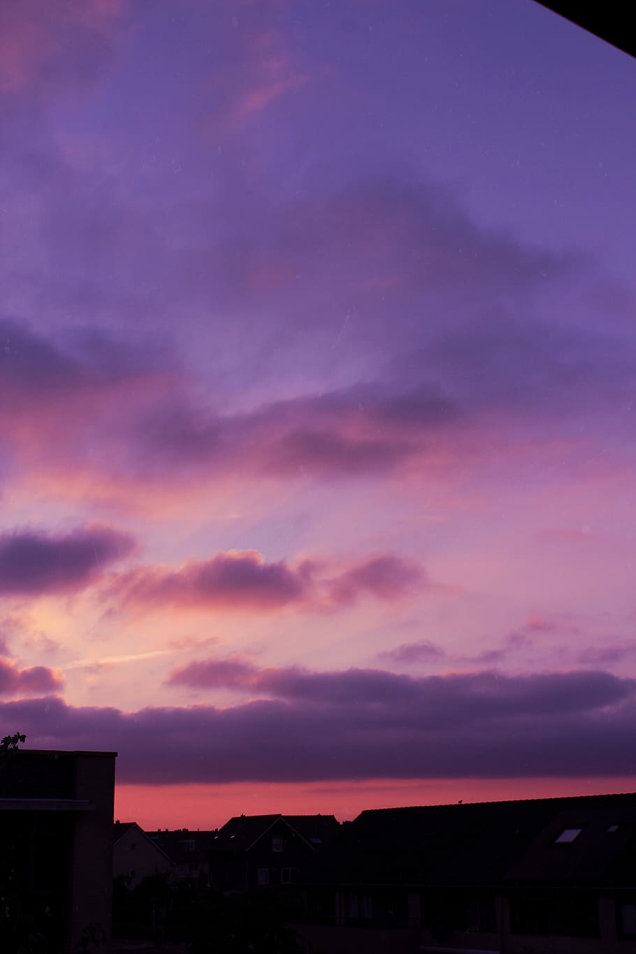 HD wallpaper: sky, sunset, clouds, pastel, pink, purple, wild ...