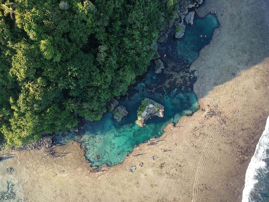 green trees seashore, high angle view, water, beauty in nature HD wallpaper