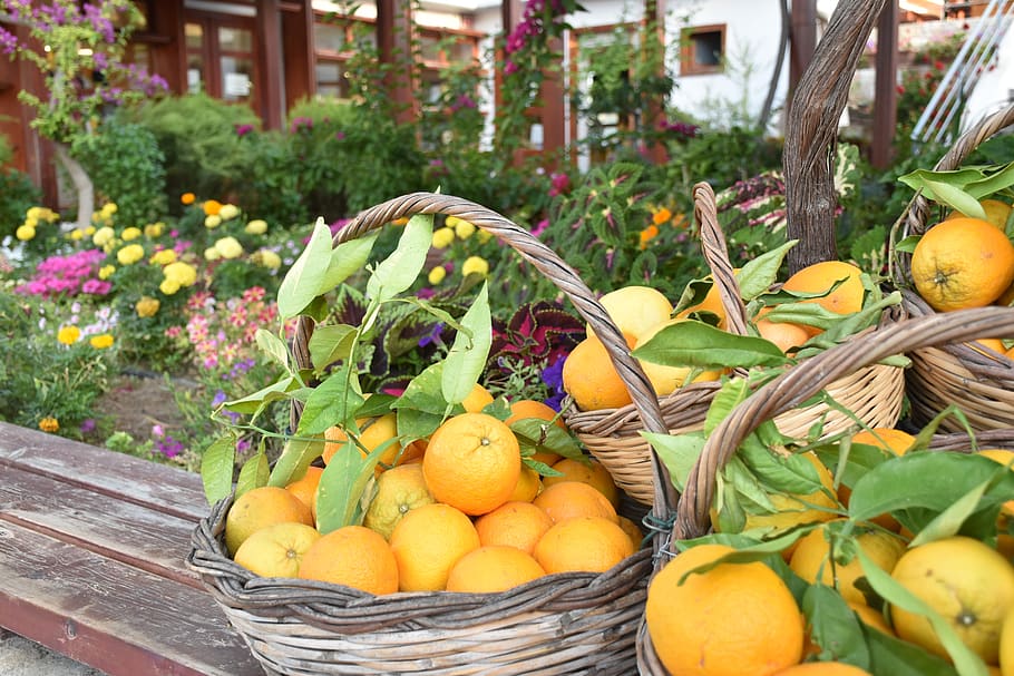 oranges, orange basket, baskets, summer, leaves, orange baskets HD wallpaper