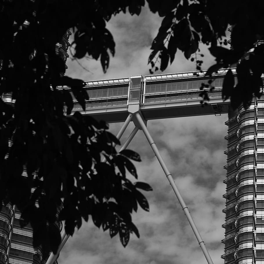 building, skyscraper, malaysia, plant, tree, low angle view HD wallpaper