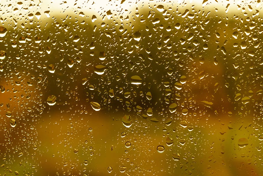 rain, raindrop, window glass, wet, water, beaded, liquid, weather HD wallpaper