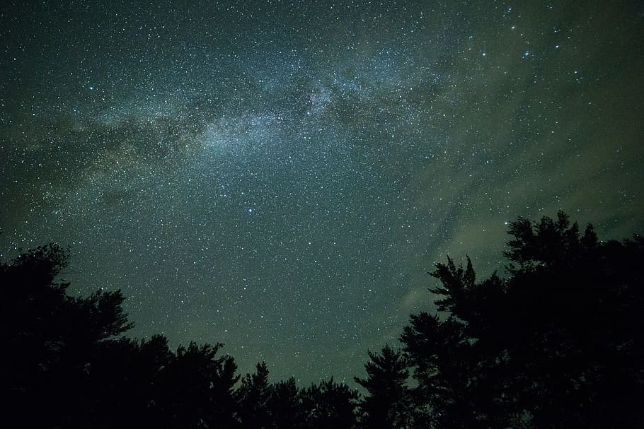 black, branches, gray, green, night, sky, stars, trees, space HD wallpaper