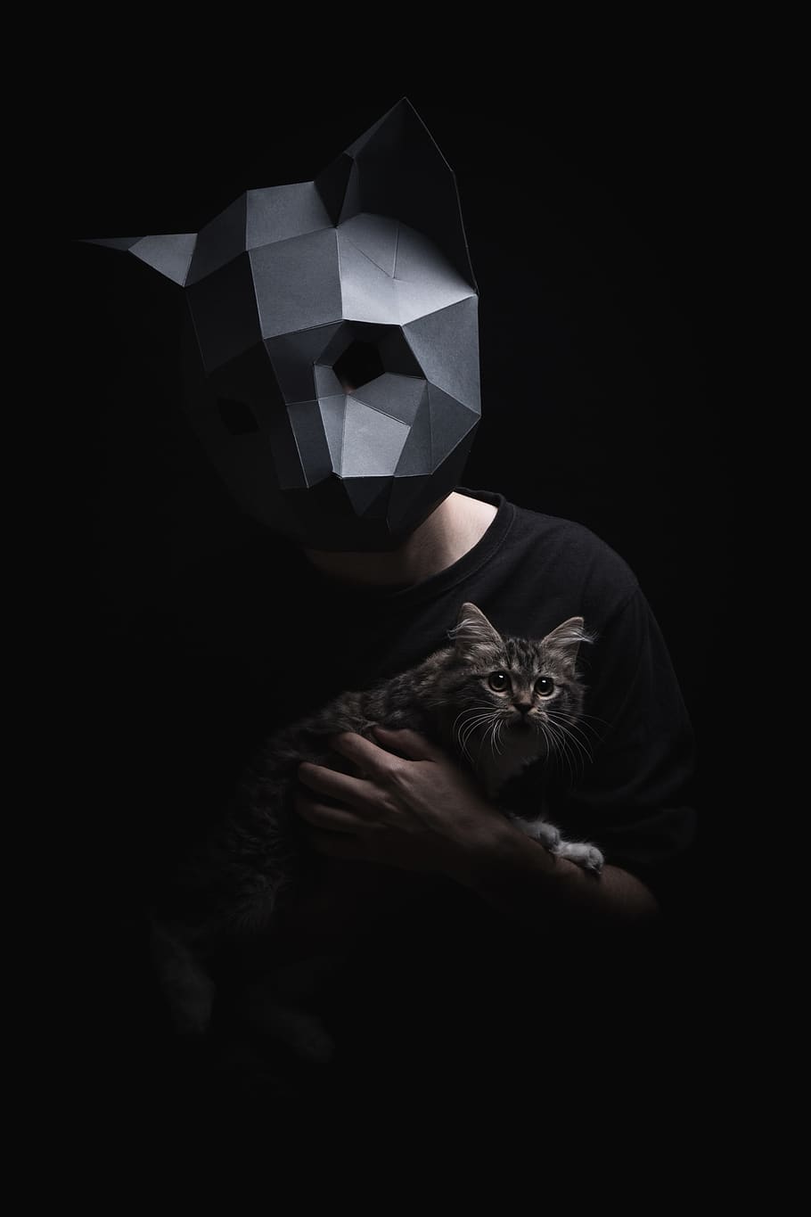 man with mask holding cat, indoors, pets, domestic, one person HD wallpaper