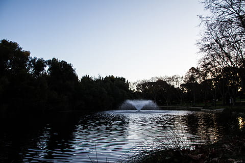 hyde park, australia, perth, trees, sdh_photos, water, sunset HD wallpaper