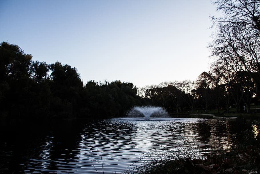 hyde park, australia, perth, trees, sdh_photos, water, sunset HD wallpaper