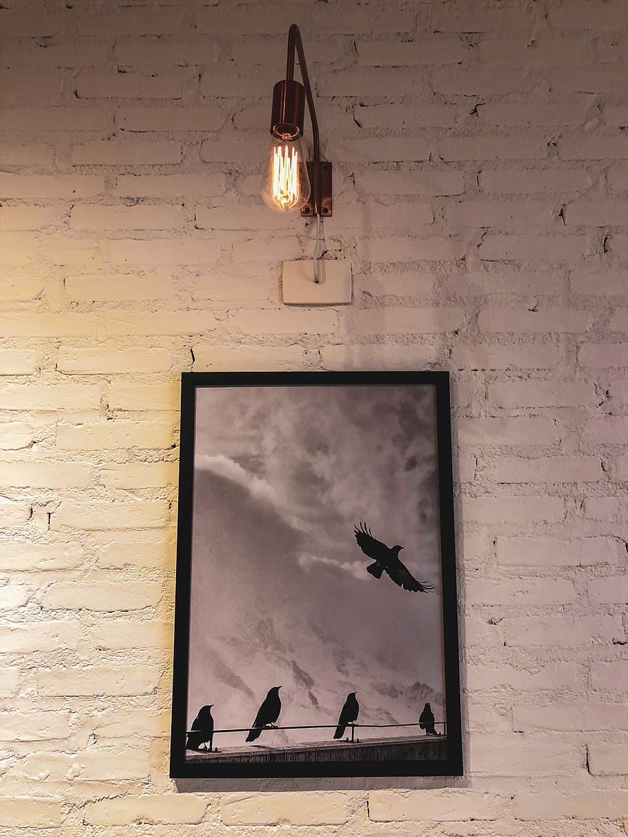 Silhouette of Birds Painting, antique, architecture, art, building HD wallpaper