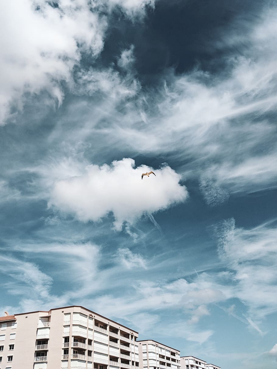 soaring eagle over building, cloud, sky, united states, melbourne HD wallpaper