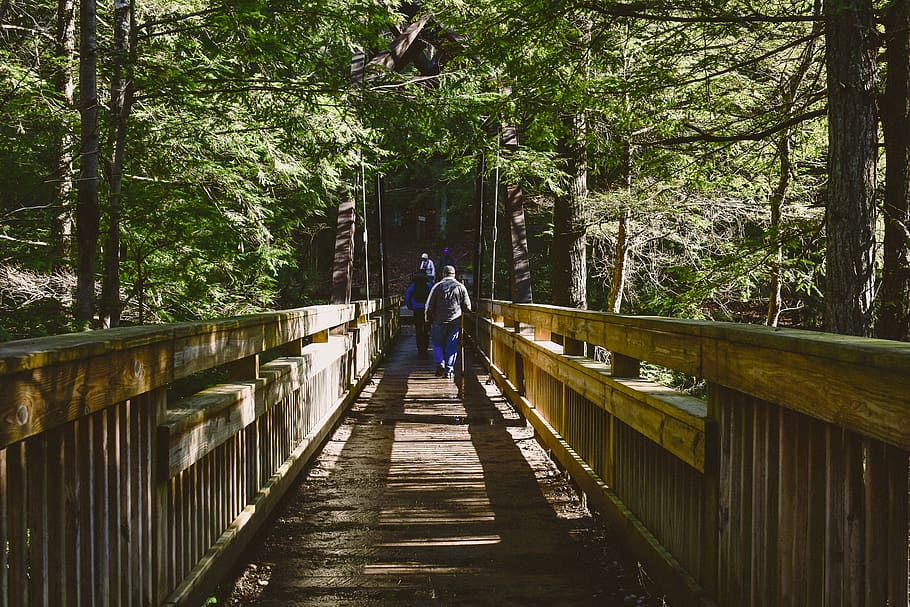 Two Persons Walking at Foot Bridge, boardwalk, daylight, environment, HD wallpaper