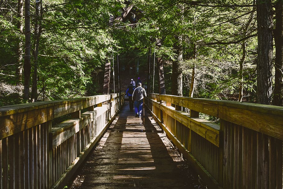 Two Persons Walking at Foot Bridge, boardwalk, daylight, environment HD wallpaper