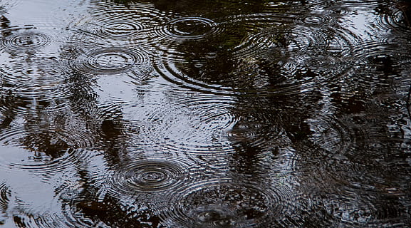 water, ripples, circles, drops, wet, surface, waves, interference patterns HD wallpaper