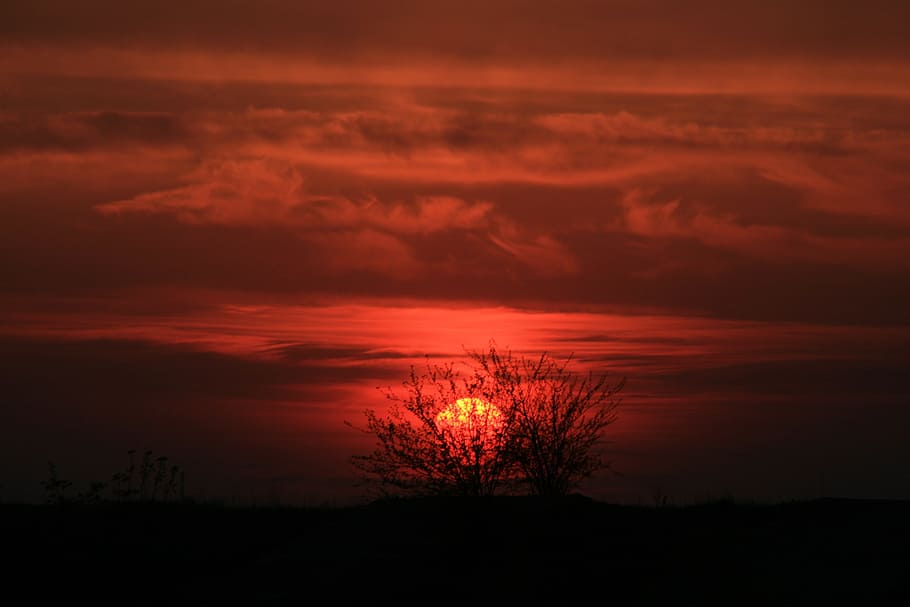 sun, sunset, nature, red, sky, cloud - sky, scenics - nature HD wallpaper