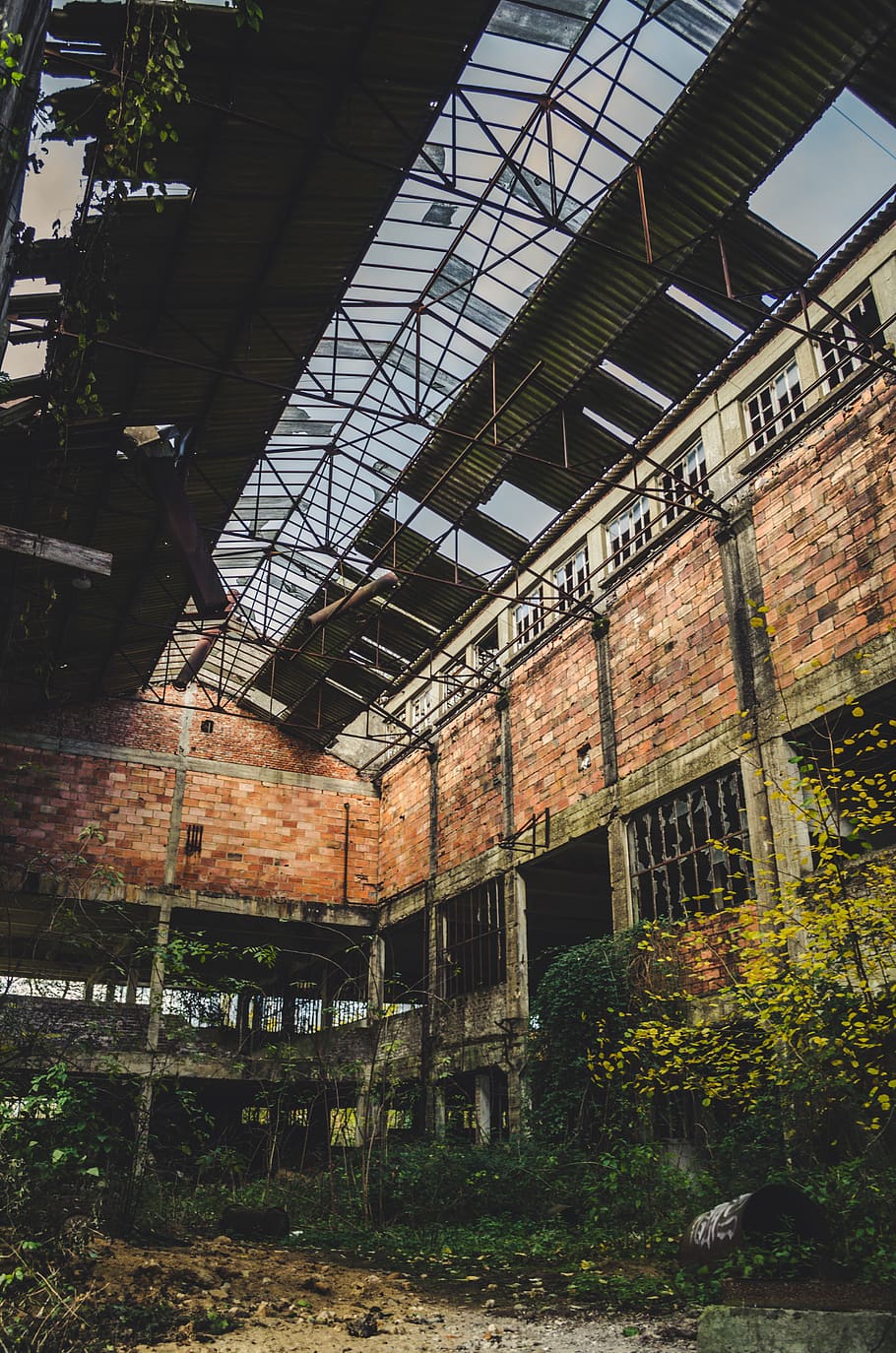 brick, building, window, architecture, france, nature, urban HD wallpaper