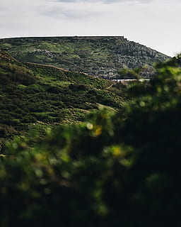 green trees, nature, outdoors, countryside, hill, mellieha, ghajn tuffieha bay HD wallpaper
