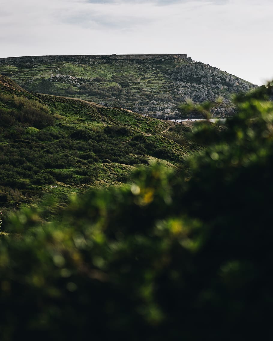 green trees, nature, outdoors, countryside, hill, mellieha, ghajn tuffieha bay HD wallpaper