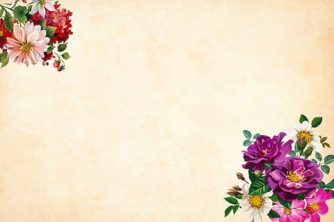 5120x2880px | free download | HD wallpaper: roses, frame, background ...