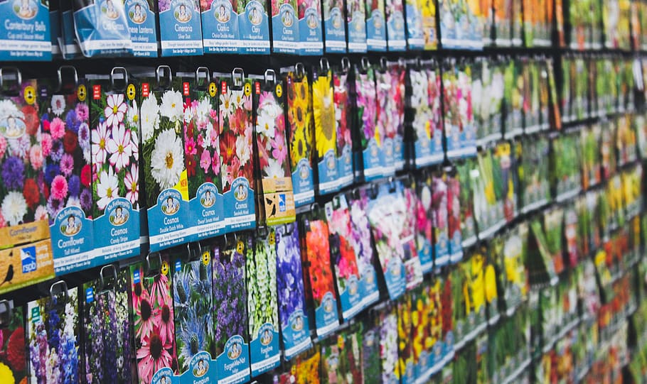 floral box lot, retail, large group of objects, multi colored HD wallpaper